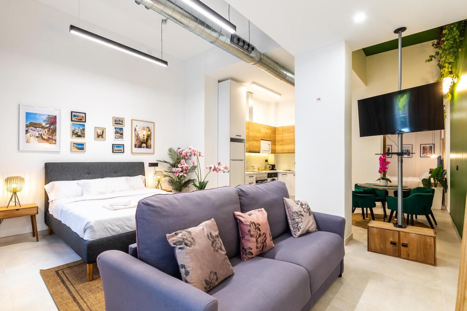 Apartament Noguera Loft 